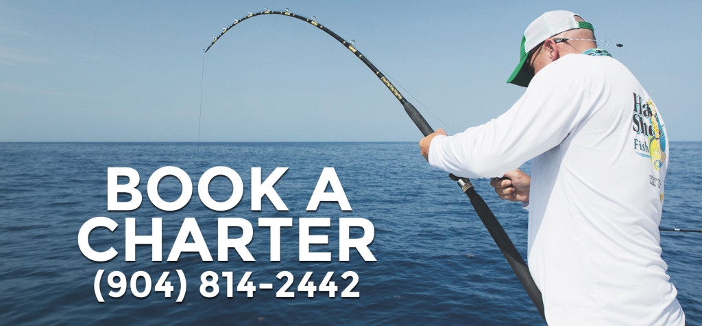 j-hook-fishing-charters-st-augustine-florida-book-a-trip-best-fishing