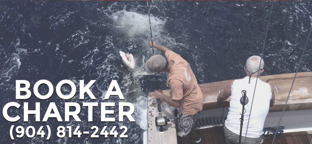 Book a Fishing Charter - J-Hook Fishing Charters
