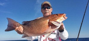 j-hook-fishing-charters-st-augustine-florida-mutton-snapper