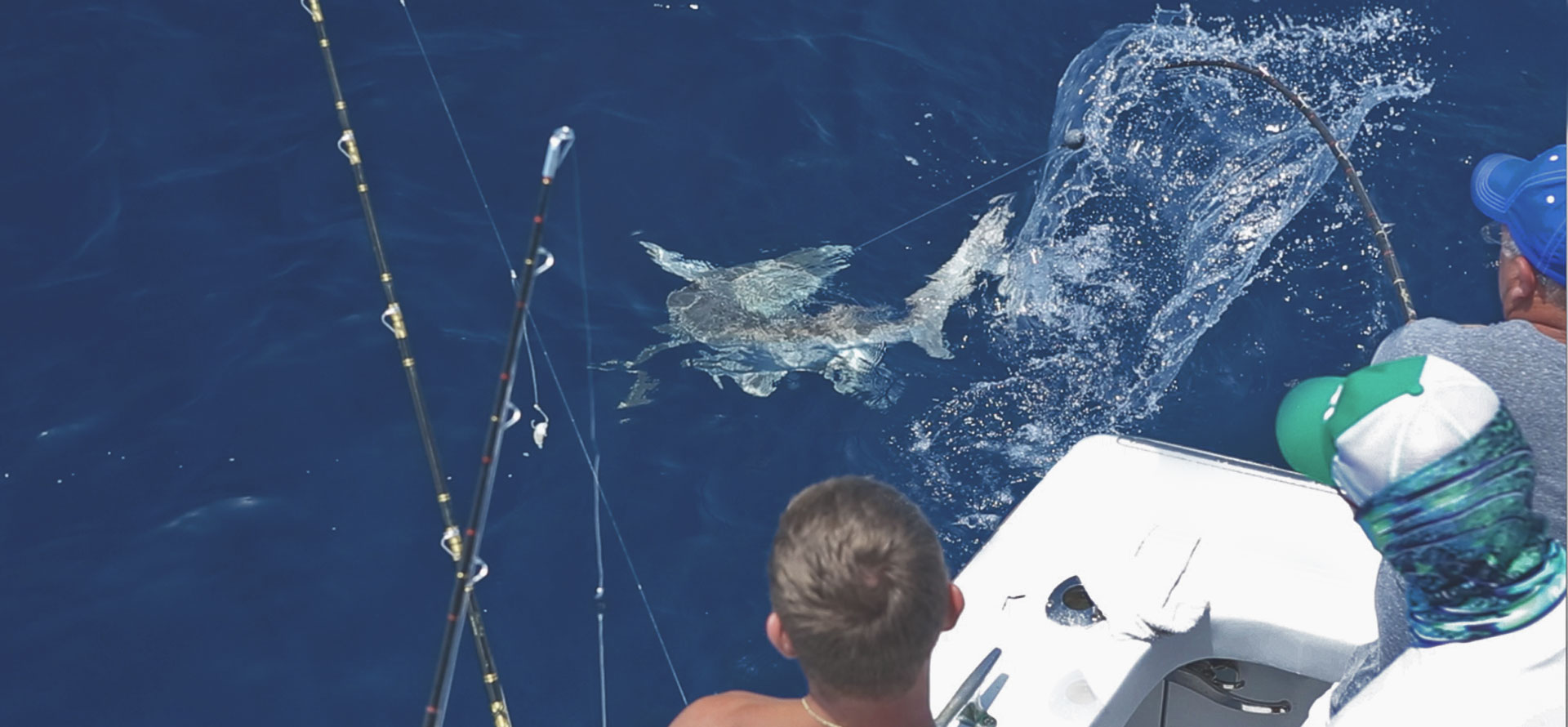 Available Fishing Charters - Book a J-Hook Fishing Charter catching sharks St Augustine FL
