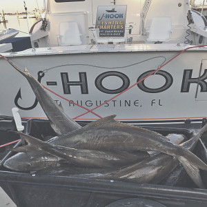 j-hook-fishing-charters-st-augustine-florida-nearshore-trip-cobia-limit-square